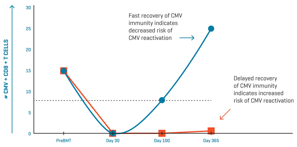 Identify Patients at Risk of CMV Infection