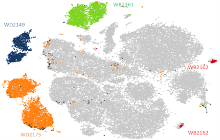 Fig. 2. Four antigen-specific T-cell populations identified after analysis of sequencing data