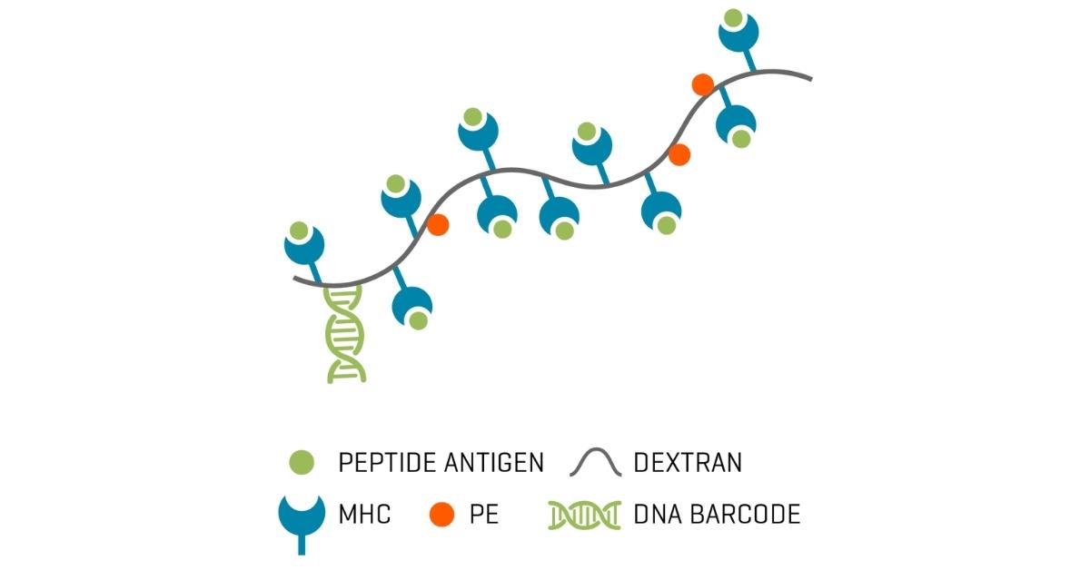 dCODE Dextramer® - NGS/Multi-omics | Immudex