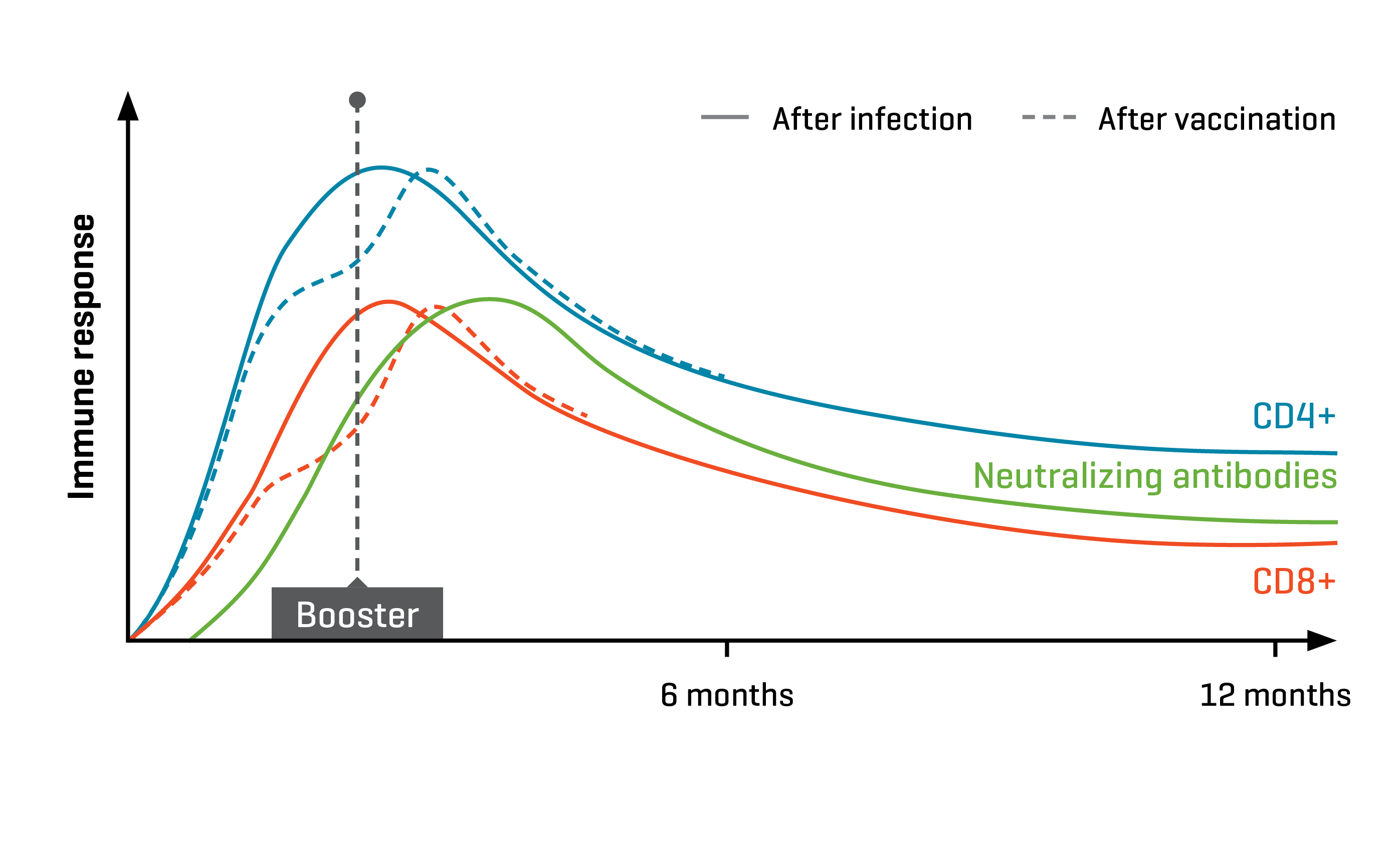 Figure 3. Schematic diagram illustrating how antigen-specific MHC Dextramer® reagents can be used to monitor the presence and frequency of tumor-specific T cells in patients participating in clinical trials as part of long-term immune monitoring after vaccination. This may help to understand the durability of the immune response and the impact of booster vaccinations.